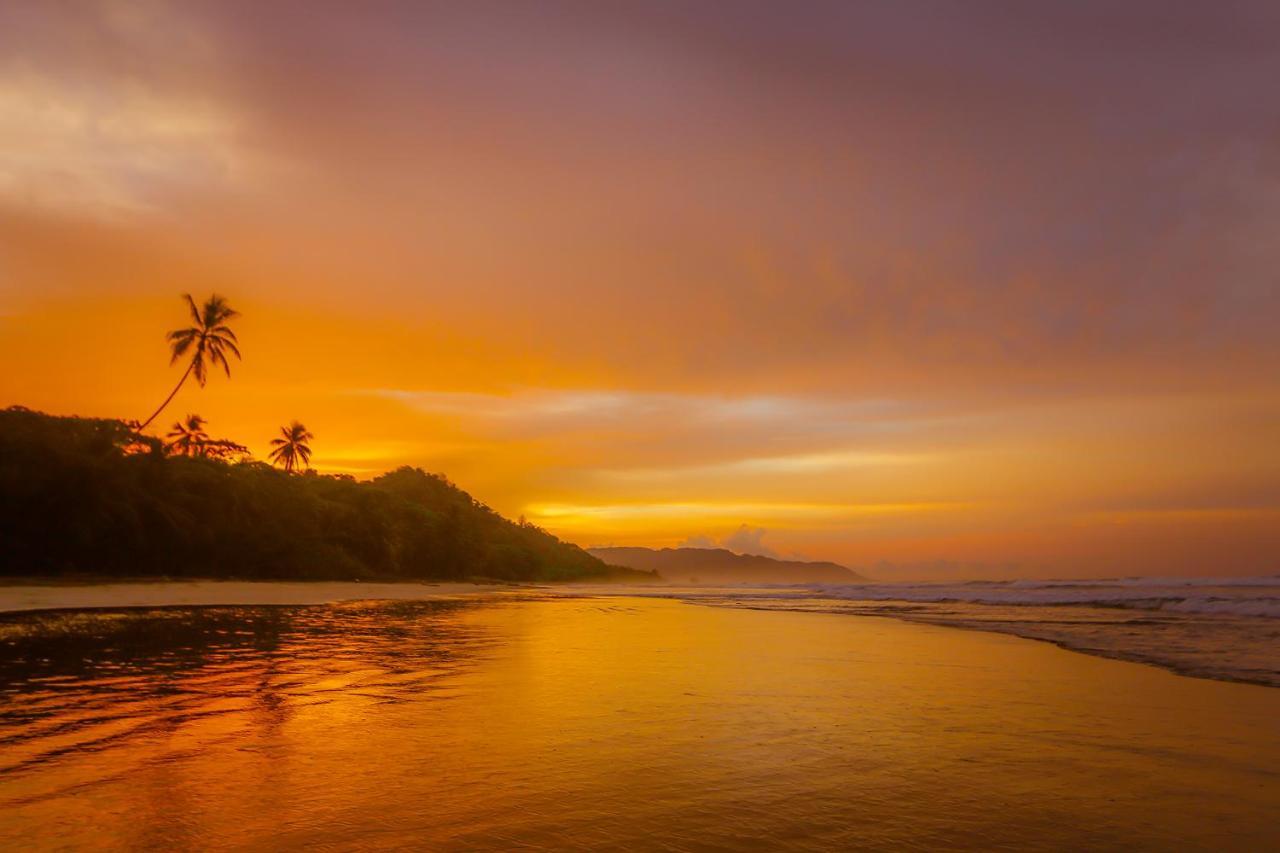 El Chante Surf House Playa Santa Teresa  Ngoại thất bức ảnh