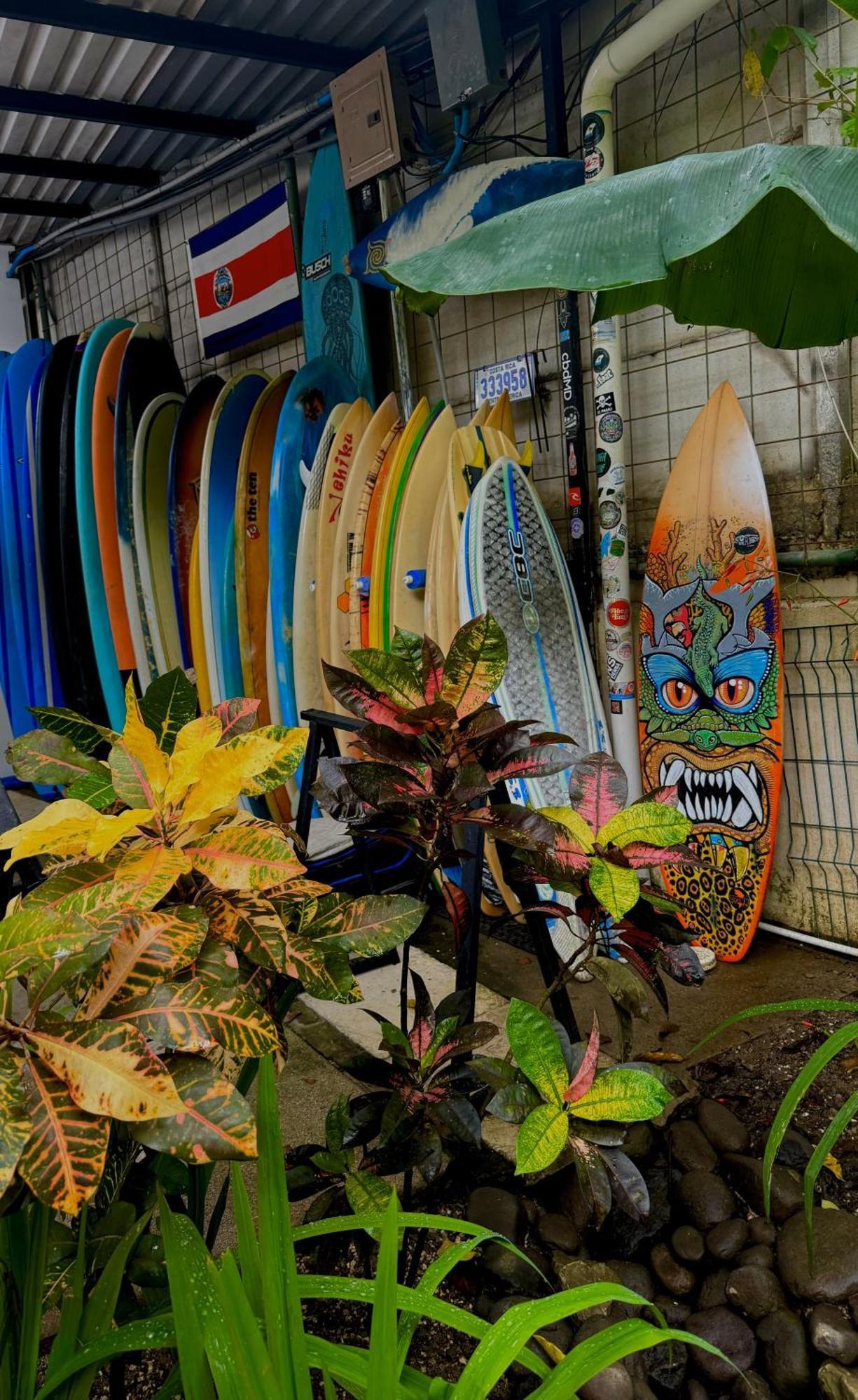 El Chante Surf House Playa Santa Teresa  Ngoại thất bức ảnh
